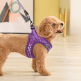 thumbnail image 4 of Magshion No Pull Dog Harness with Leash, No Choke Reflective Pet Vest Adjustable Breathable Mesh Harnesses Dogs Walking, Purple XS, 4 of 10