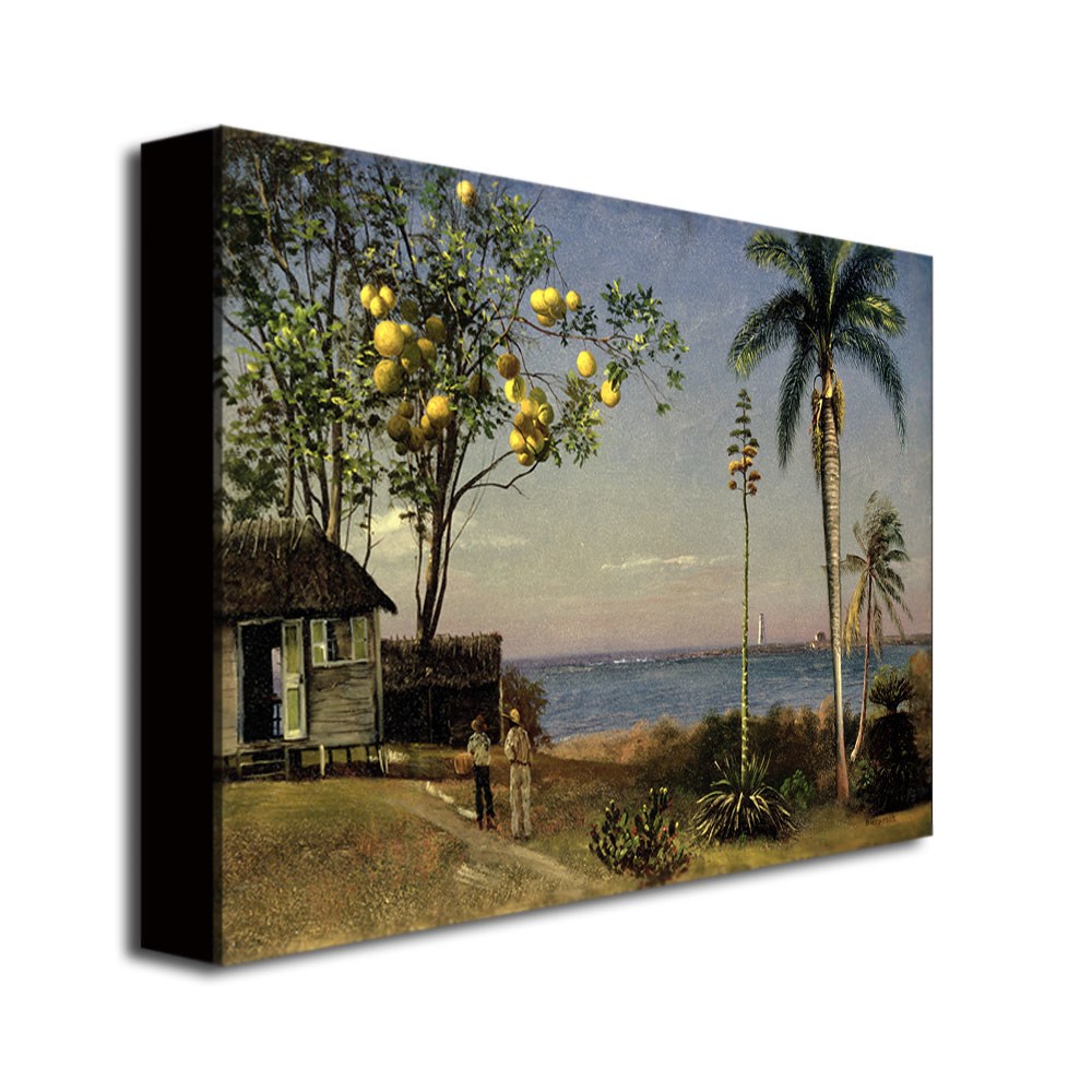 Trademark Fine Art "Tropical Scene" Canvas Art by Albert Biersdant