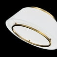 thumbnail image 5 of WAC Lighting Hailey 16" LED 3000K Contemporary Aluminum Flush Mount in Black, 5 of 5
