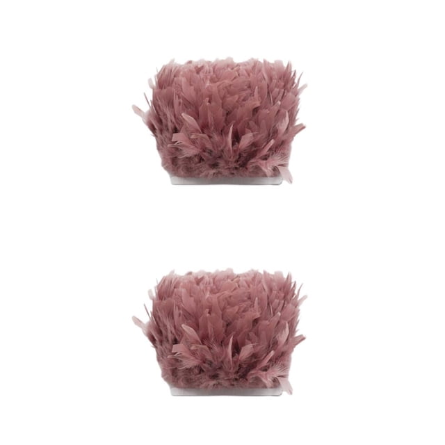 Minnieouse Cinta de adorno de plumas para ropa de boda, vestido de fiesta, artesanías portátiles, adornos de flecos de plumas, accesorios de Type2 NO2