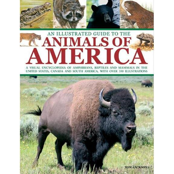 An Illustrated Guide To The Animals of America : A visual encyclopedia of amphibians, reptiles and mammals in the United States, Canada and South America, with over 350 illustrations (Paperback)