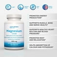 Magnesium 400mg [High Potency] Supplement Magnesium Oxide for Immune ...