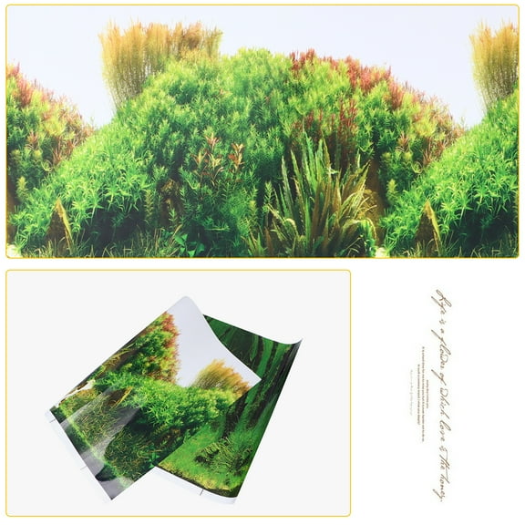 FRCOLOR Vibrant Tank Background Sticker for Aquarium Decor PET Double Sided Easy to Attach 36x24 Inches