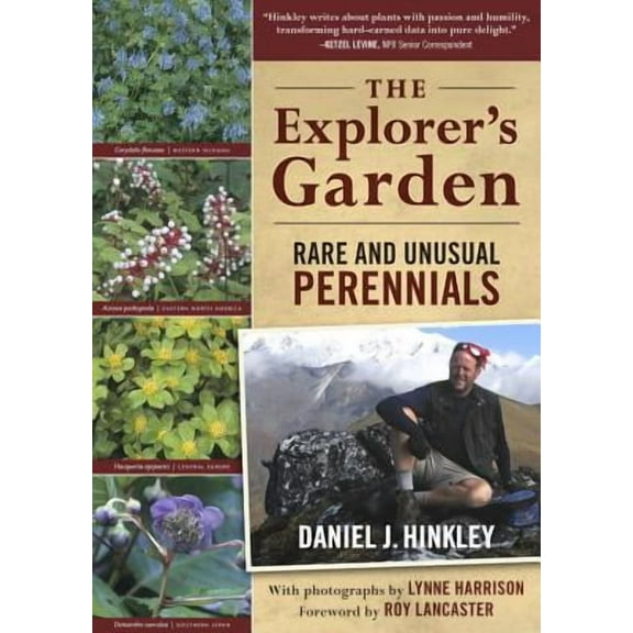 The Explorer's Garden : Rare and Unusual Perennials (Paperback)