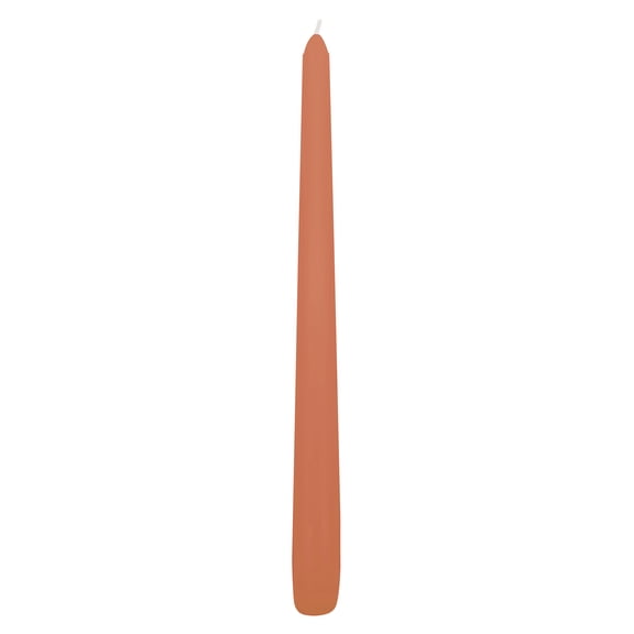 48 Pack: 10" Terracotta Taper Candle by Ashland
