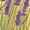 Z3-Yellow, variant on HongQid Womens Embroidered Tops Casual Summer Boho T Shirts Loose Fit Short Sleeve Floral Blouses