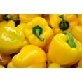 thumbnail image 1 of 100 Graines de Poivron Canari Doux Jaune Capsicum Annuum Légumes, 1 of 1
