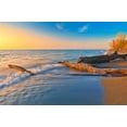 thumbnail image 2 of Jaynes Gallery 14x11 Gold Ornate Wood Framed with Double Matting Museum Art Print Titled - Canada-Ontario-Point Pelee National Park Driftwood on Lake Erie shoreline at sunrise, 2 of 4