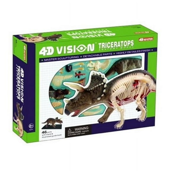 Triceratops Dinosaur Anatomy Model