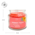 thumbnail image 2 of Vela Mainstays Sensación Tropical 85 G, 2 of 4