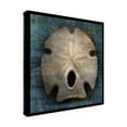 thumbnail image 2 of Trademark Fine Art 'Arrowhead Sand Dollar' Canvas Art by John W. Golden, 2 of 3