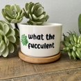 thumbnail image 2 of Interesting Unique Succulent Flower POTS Make A Great Gift For Home Gardening Ideas, 2 of 4
