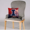 thumbnail image 3 of College Covers Everything Comfy Illinois Fighting Illini 2 Sided Color Swept Decorative Pillow, 16", Made in the USA, 3 of 3
