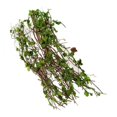 thumbnail image 7 of Kokiya 3 Packs Resin Miniatures Vine for Scenery Building Diorama Fairy Garden Accs, 7 of 7