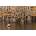 thumbnail image 2 of Jones, Adam 18x13 Black Ornate Wood Framed with Double Matting Museum Art Print Titled - Bald Cypress tree draped in Spanish moss with fall colors and kayaker Caddo Lake State Park, 2 of 4