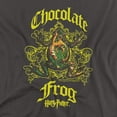 thumbnail image 2 of Harry Potter Chocolate Frog Women's T Shirt, Charcoal, X-Large, 2 of 6