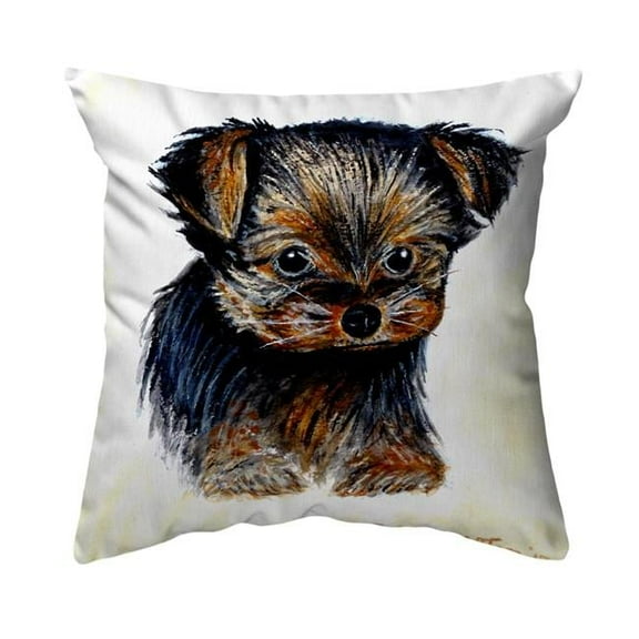 Betsy Drake NC849 18 x 18 in. Tauris No Cord Pillow