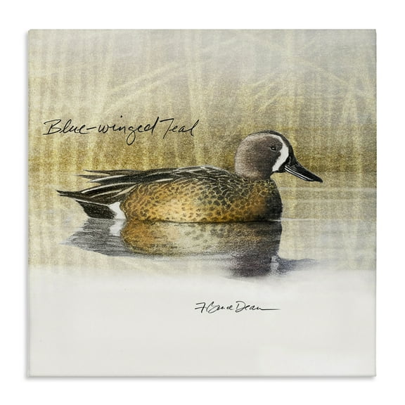 Stupell Industries Blue Winged Teal Duck Animals Painting Wrapped Canvas Art Print Wall Art, 17 x 17