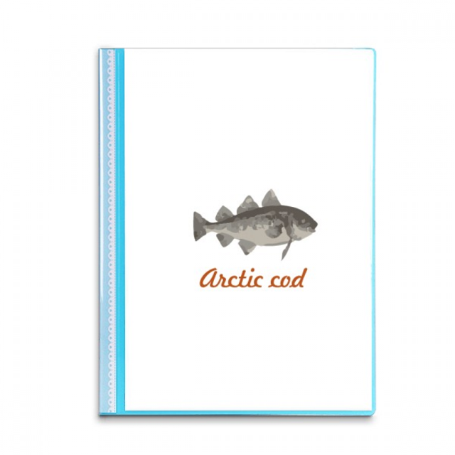 Bowhead Whale Polar Region Book Sheet Protectors Portfolio Binder Folder
