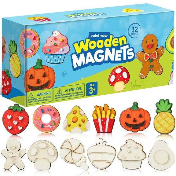 12 Pcs Food Wooden Magnets Painting Art & Craft Kits for Boy Girl Aged 3 