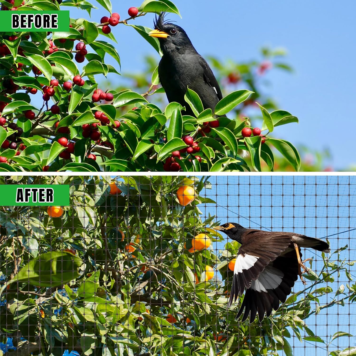 Bird Netting 5 x 100 FT Heavy Duty Garden Netting Deer Fence Netting Pest Barrier for Protect Fruit Trees, Plants and Vegetables Against Birds, Deer, Squirrels, Black - 2 Pack