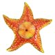 thumbnail image 1 of Decoración de pared de , 12 pulgadas, arte decorativo en el , pya para pis, decoración de Nad para el hogar al Sunnimix Colgante de pared de estrella de mar, 1 of 8