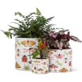 thumbnail image 4 of Abbott Collection Large Allover Bugs Planter-6.5" D, 4 of 4