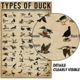 thumbnail image 2 of Duck Knowledge Metal Poster Type Of Duck Metal Tin Sign School Club Hunting Lodge Farmhouse Home Art Wall Decoration 16x12 Inch, 2 of 5