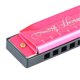 thumbnail image 4 of Harmonica 10 Hole 20 Tune C Key Professional Standard Mouth Organ with Case for Kid Beginner Rose Red, 4 of 4