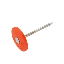 Grip-Rite 1-1/4 in. Cap Electro-Galvanized Plastic/Steel Nail Full Round Head 9 lb Grip-Rite 1-1/4 in. Cap Electro-Galvanized Plastic/Steel Nail Full Round Head 9 lb