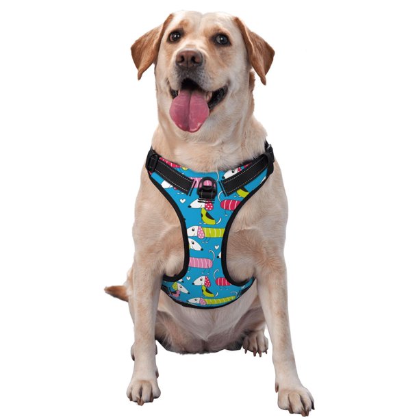 Fotbe Color Dachshund Dog Arnés para Perro con Estampado –Chaleco Ajustable Acolchado con Asa de Control para Perros Grandes-X-Large