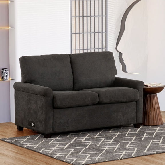 Miekor Furniture Convertible Twin Sleeper Sofa with USB Ports, Modern Upholstered Sofa Bed, Living Room 2-Seater Sofa/Loveseat, Dark Gray B5A7358