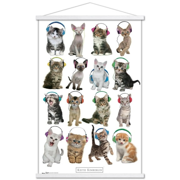Keith Kimberlin - Kittens - Headphones Wall Poster with Wooden Magnetic Frame, 22.375" x 34"
