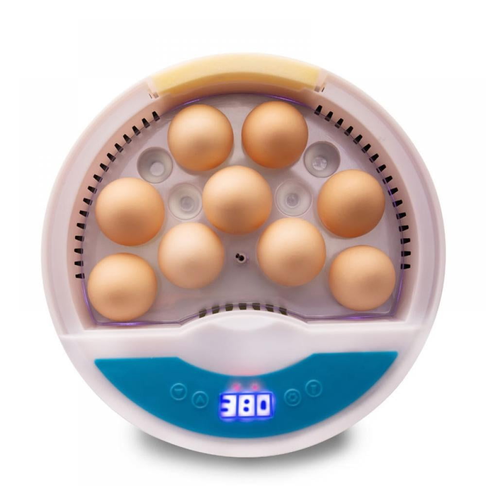 Incubators for Hatching Eggs for Kids,Egg Incubator With Temperature