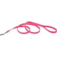 5/8" Single-Pli Nylon 4' Dressage Chien Laisse-Neon Rose – image 1 sur 1