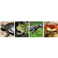 View all media