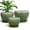 Green, variant on Ordivic 3 Set Large Blue Ceramic Plant Pots with Drainage Saucer for Succulent Plant Lovers,Home Decor