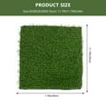 thumbnail image 2 of YOSADIER Durable Artificial Grass Rug for Chicken Nesting, Green Plastic Mat, Easy to Clean and Weather Resistant, 2 of 10