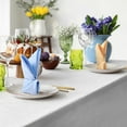 thumbnail image 5 of 12 Pcs Easter Cloth Napkins 18.5 x 18.5 Inch Dinner Napkins Solid Plaid Easter and Spring Fabric Reusable Cotton Kitchen Towels for Holiday(Classic), 5 of 7