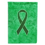 Carolines Treasures AN1221CHF Emerald Green Ribbon for Liver Cancer Awareness Flag Canvas House Size Large multicolor