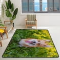 thumbnail image 2 of Crawling Indoor Carpet Play Mat Corgi Dogs on a Walk for Living Room Bedroom Educational Nursery Floor Mat Area Rug 80x58inch, 2 of 6