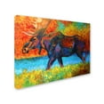 thumbnail image 2 of Trademark Fine Art 'Moose EBSQ' Canvas Art by Marion Rose, 2 of 3