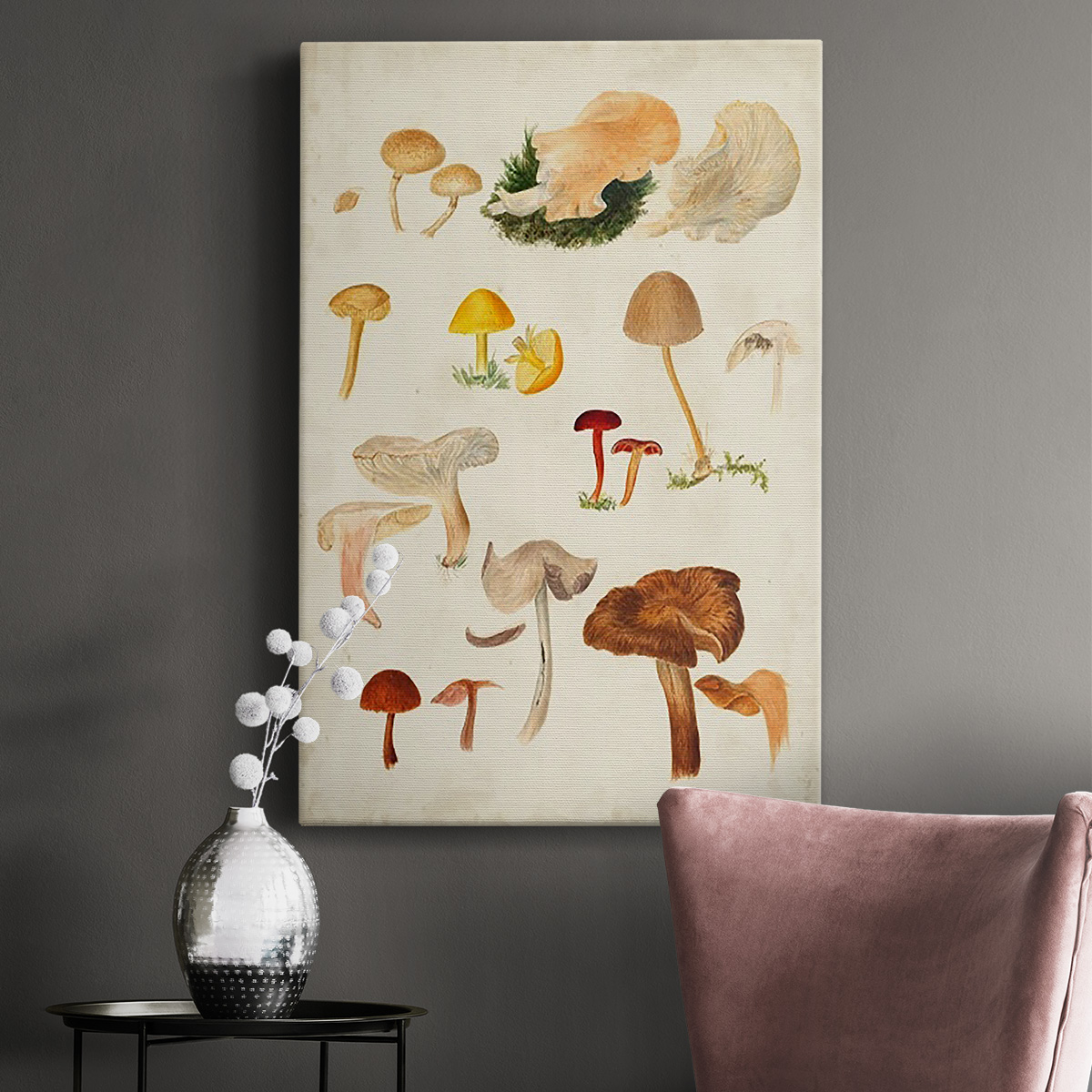 Mushroom Species XII Premium Gallery Wrapped Canvas - Ready to Hang
