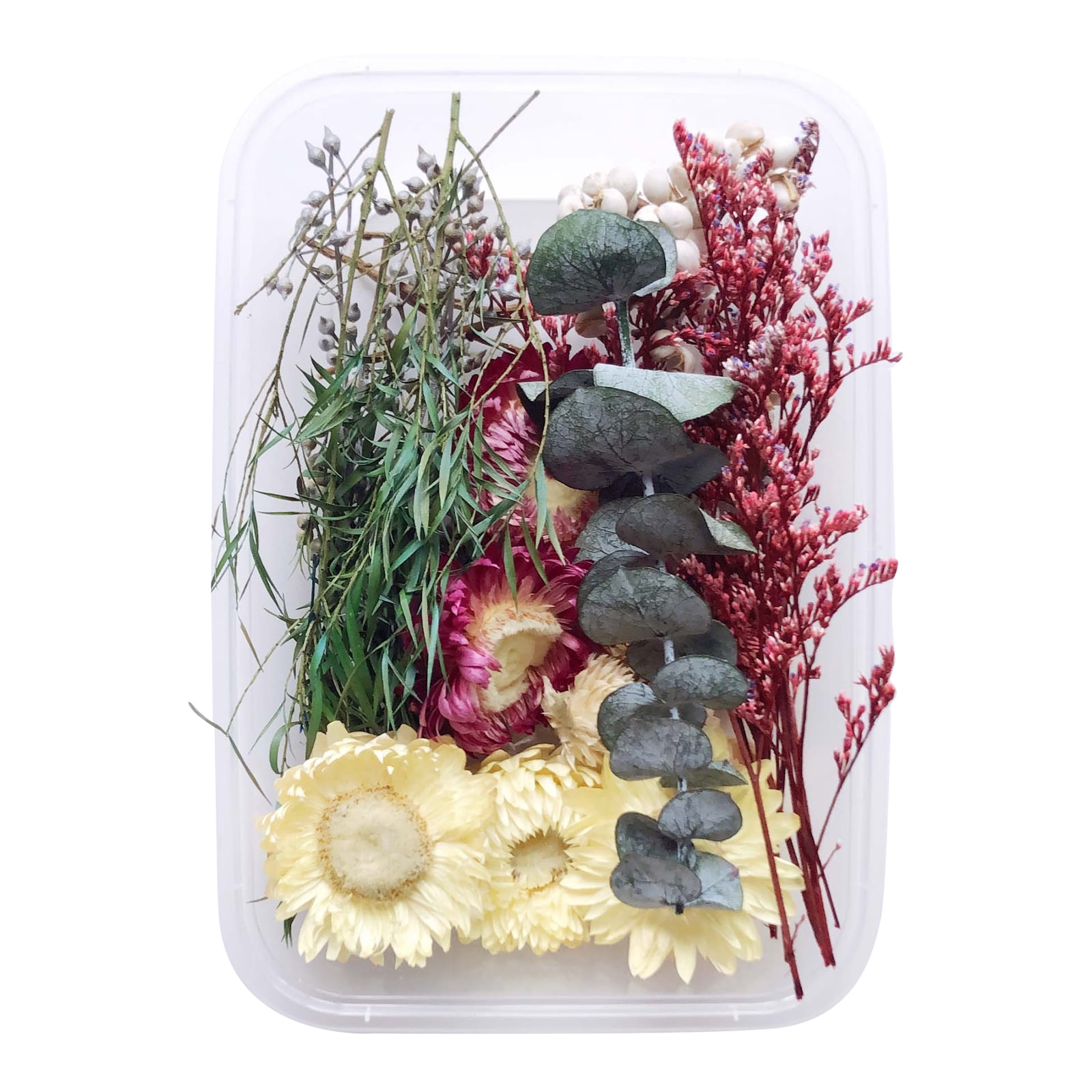 GadgetVLot Diy Dried Flowers Material Eternal Flower Artificial Multicolor  Festival Supplies Home