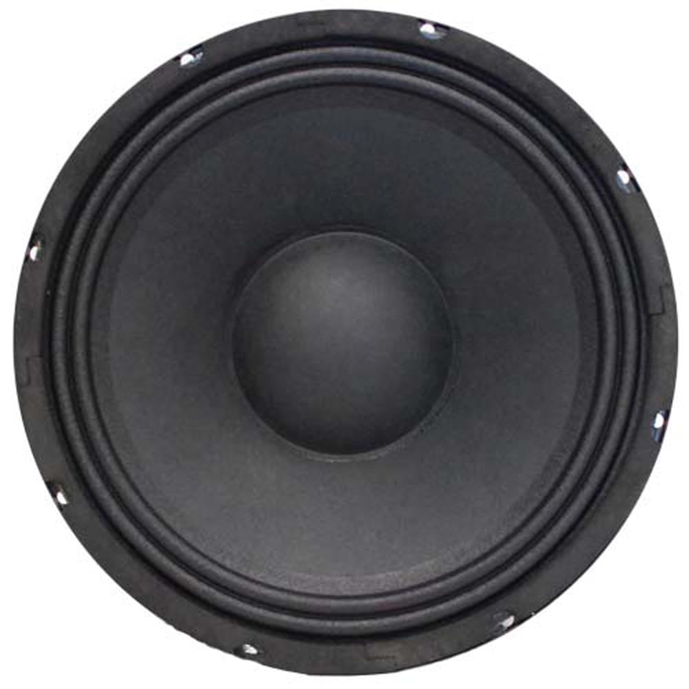 Seismic Audio 10" Bass Guitar Raw WOOFER Speaker Driver Replacement