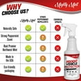 thumbnail image 5 of Mighty Mint Vehicle Rodent Repellent Spray - 16 oz, 5 of 8