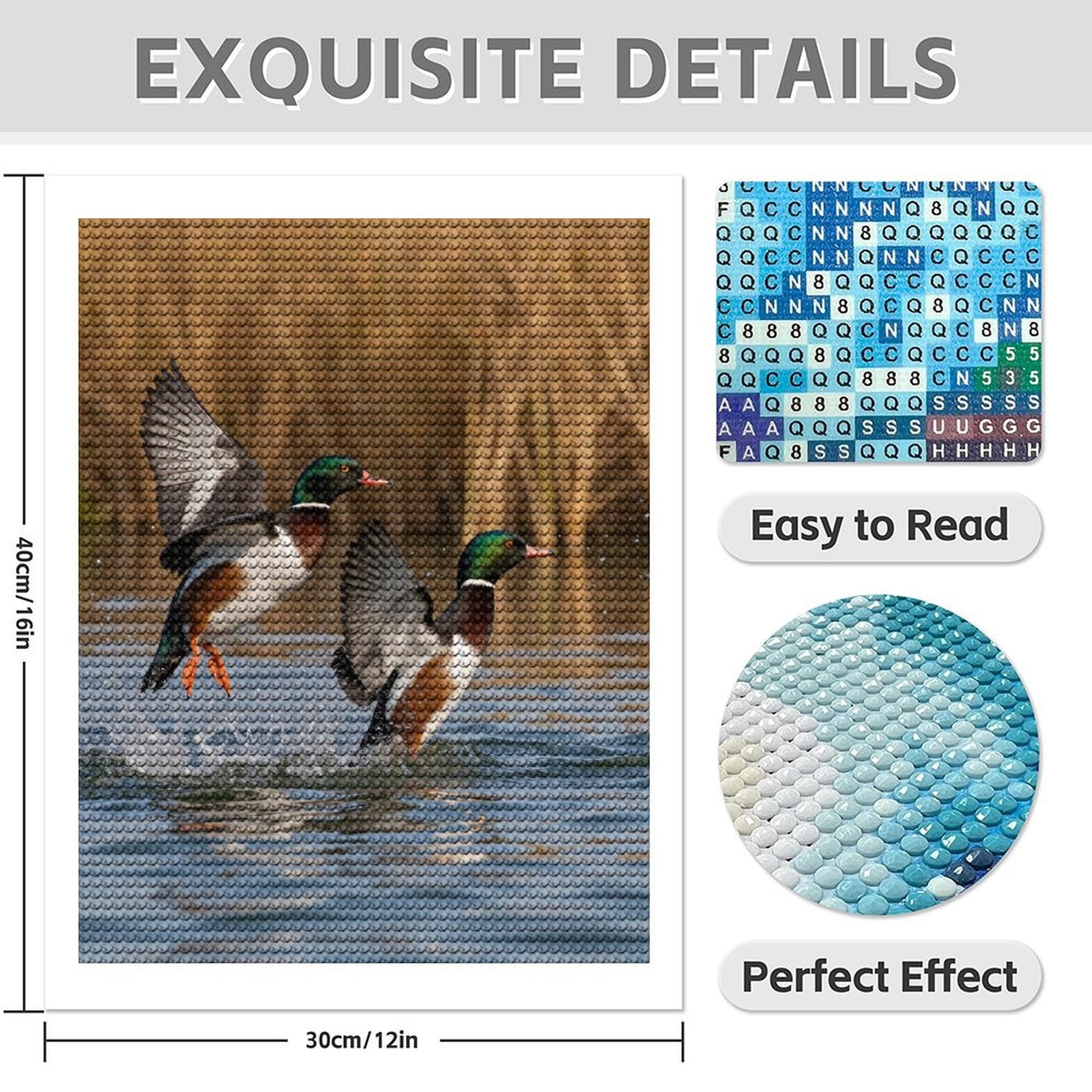 Diamond Art Kit for Adults, Ducks Splashing Flight Water Ripples Diamond Painting for Adults Beginners, DIY Diamond Art Painting Kits, 5D Diamond Painting Crafts for Home Decor 12x16 Frameless