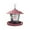 A, variant on Eqslft Wild Bird Feeder for Garden Durable Hanging Feeder,Adjustable Hopper Feeders with Wide Tray and Rainproof Roof, Wild Birds Feeder for Garden Backyard Decoration
