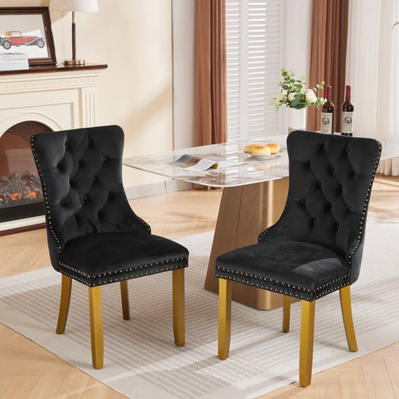 HUTWIFE Home Contemporary Adult Velvet Dining Side Chairs, Black (Set of 2)