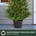 thumbnail image 6 of Fraser Hill Farm 4-Ft Adirondack Pre-Lit Potted Christmas Tree Decor with Warm White LED Lights, FFAD048P-5GR, 6 of 11